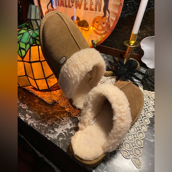 PAWZ Brown and Cream Women's Slippers - Picture 1 of 6